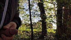 Dick Flash 2 Thumb