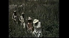 VINTAGE EROTIC MOVIE Thumb