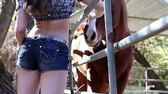 Soft Porn Country music video Thumb