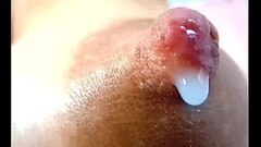 closeup milking nipple Thumb