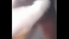 Twerking it with two tail feathers Thumb